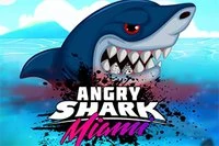 Efsanevi Angry Sharkin bir başka inanılmaz versiyonunun keyfini çıkarın!