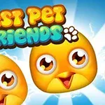 Sarı sevimli kuş yüzleri ve Best Pet Friends yazısı