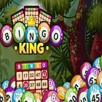 Renkli bingo topları ve ortasında Bingo King yazılı bir arka plan