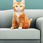 Turuncu beyaz bir kedi, açık renkte bir koltuk üzerinde oturuyor