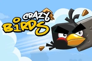 Gökyüzünde uçan kızgın siyah kuş ve “Crazy Birds” yazısı
