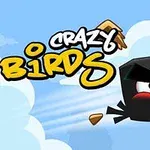 Gökyüzünde uçan kızgın siyah kuş ve “Crazy Birds” yazısı