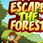 Yeşil kapüşonlu bir çocuk, elinde kılıçla ormanda duruyor, arka planda Escape the Forest yazısı bulunuyor