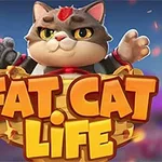 Sevimli ve tombul bir kedi, önünde Fat Cat Life yazısıyla bir kutunun içinde duruyor