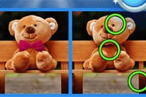 İki sevimli peluş ayının karşılaştırıldığı ve farklılıkların yeşil dairelerle vurgulandığı bir görüntü