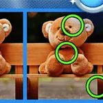 İki sevimli peluş ayının karşılaştırıldığı ve farklılıkların yeşil dairelerle vurgulandığı bir görüntü