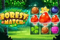 Forest Match rengarenk bir eşleştirme oyunu, hem gençler hem de yaşlılar