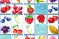Fruit Connecte Yardımınız Gerekli!