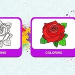 Solda çizim ve sağda boyama olarak ikiye bölünmüş, sol tarafta siyah beyaz bir gül resmi ve sağ tarafta kırmızı bir gül resmi olan görsel