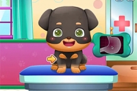 Merhaba köpek severler!