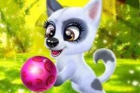 Sevimli bir yavru köpeğe iyi bak ve onun için eşsiz bir stil oluştur!