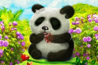 Bu sevimli hayvan makyaj oyununda sevimli bir panda ayısına bak!
