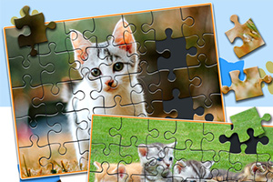 Parçaları eksik olan bir kedi resmi puzzleı