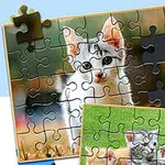 Parçaları eksik olan bir kedi resmi puzzleı