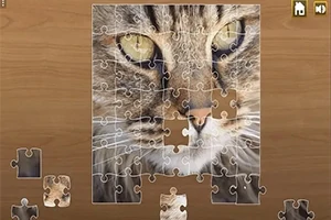 Bir kedi fotoğrafının yapboz olarak birleştirildiği görüntü
