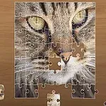 Bir kedi fotoğrafının yapboz olarak birleştirildiği görüntü