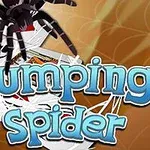 Büyük bir örümcek ve arka planda üst üste dizili iskambil kartları üzerinde Jumping Spider yazısı