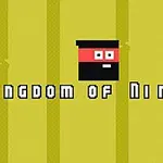 Sarı arka plan üzerinde basit tasarımlı bir ninja yüzü ve altında Kingdom of Ninja 2 yazısı