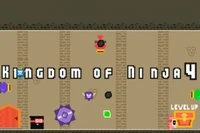 Kingdom Of Ninja 4, Kingdom of Ninja serisinin dördüncü bölümüdür