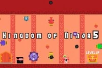 Kingdom Of Ninja 5, Kingdom of Ninja serisinin beşinci bölümüdür