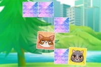 Kaç eşleşen kedi bulabilirsin
