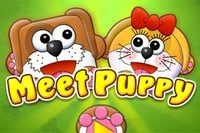 Meet Puppy oyununda bir köpek çifti ayrıldı ve ne yapacaklarını