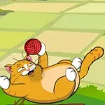 Tarlada sırtüstü yatan turuncu bir kedi kırmızı bir yumakla oynuyor