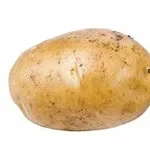 Beyaz arka planda tek bir patates