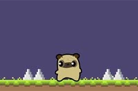 Pug Love macerası bugün başlıyor!