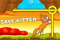 Felaket! Kızgın Tom Kedi, yavru kedileri kulesine hapsetti