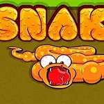 Karikatür tarzında, ağzı açık ve şaşkın gözlerle bakan turuncu bir yılan ile büyük harflerle SNAKE yazısı