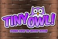 Kaçış! Yarasalardan ve Mayınlardan Kaçın - Tiny Owl!