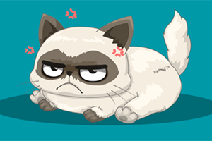 Kızgın ve kaşları çatık görünen beyaz, kahverengi detaylı karikatür kedi