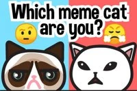 Meme kedini bul: Emoji testi