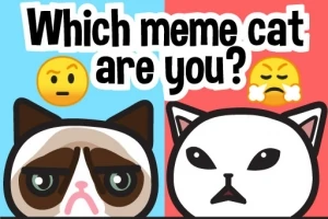İki farklı kedi illüstrasyonu, birinde düşünceli bir emoji, diğerinde ise öfkeli bir emoji ile birlikte Which meme cat are you?
