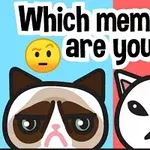 İki farklı kedi illüstrasyonu, birinde düşünceli bir emoji, diğerinde ise öfkeli bir emoji ile birlikte Which meme cat are you?