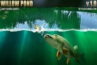 Willow Pond, renkli bir balık tutma simülatörü